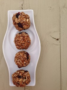 Coconut Cranberry Breakfast Bites