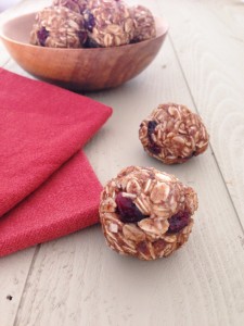 Coconut Cranberry Breakfast Bites